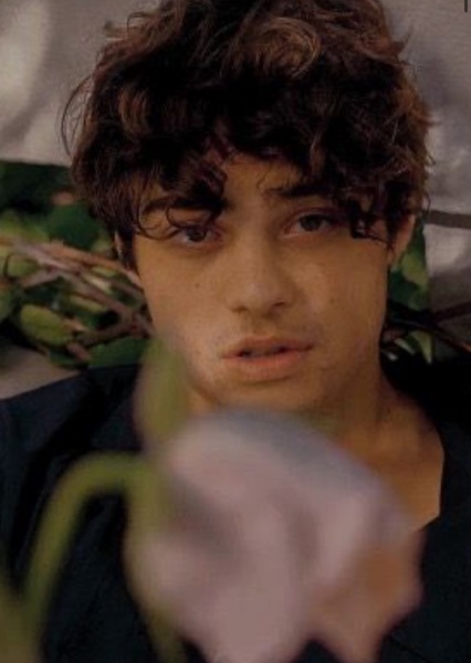 Noah Centineo photo