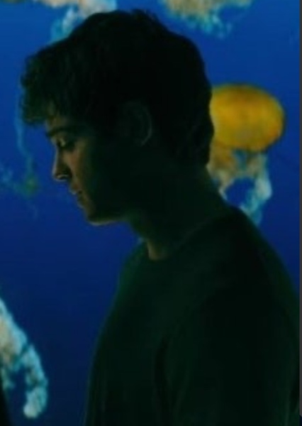 Noah Centineo photo