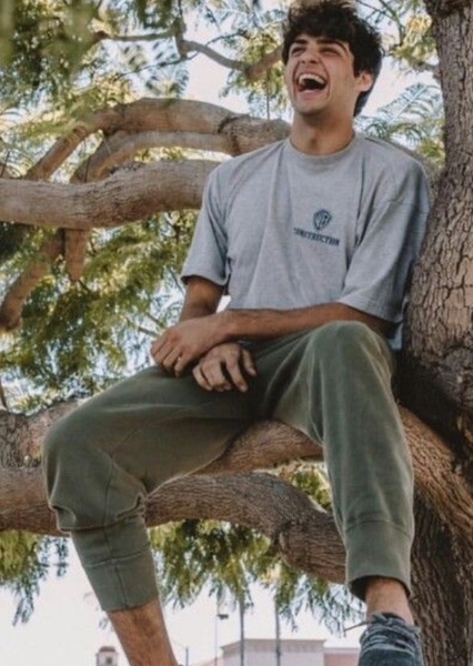Noah Centineo photo