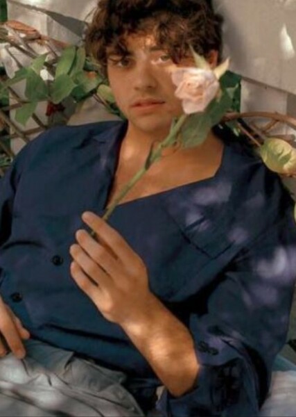 Noah Centineo photo