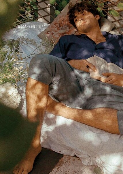 Noah Centineo photo