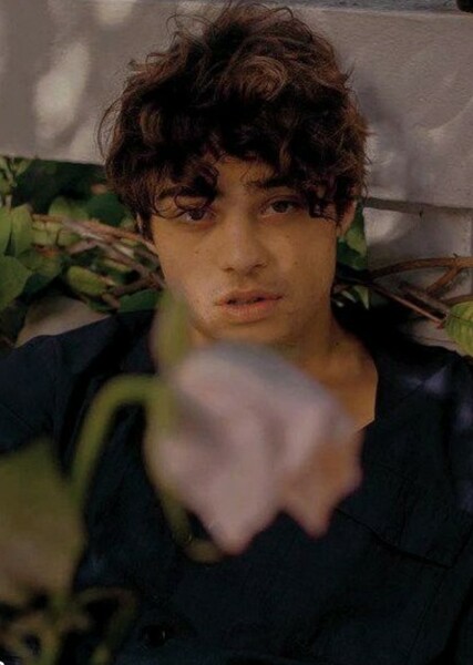 Noah Centineo photo