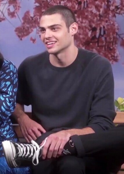 Noah Centineo photo
