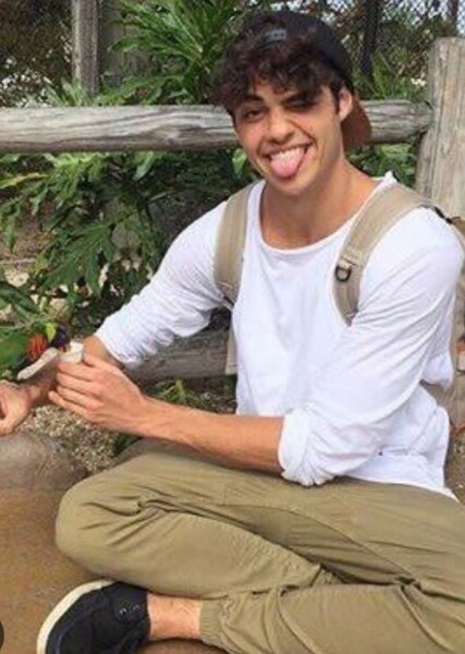 Noah Centineo photo