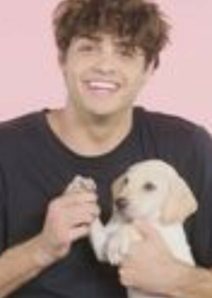 Noah Centineo photo