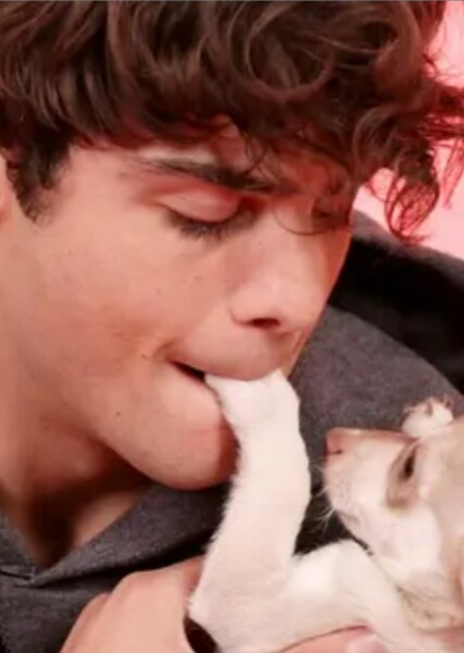 Noah Centineo photo