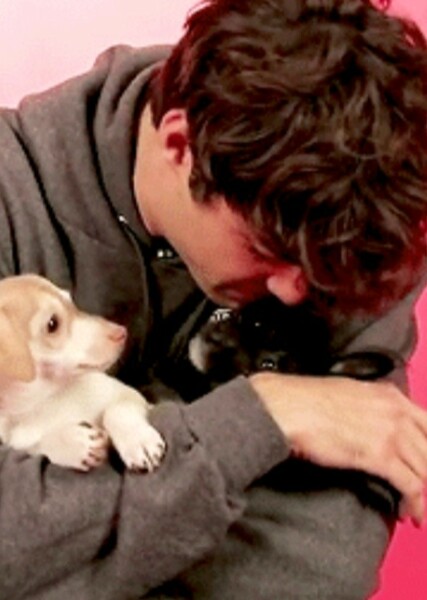 Noah Centineo photo