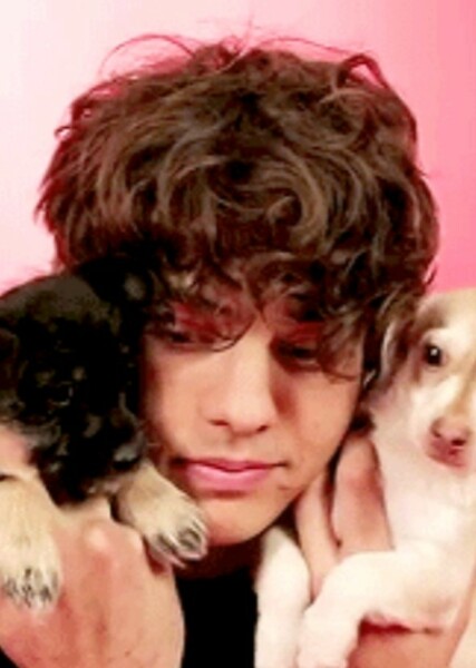 Noah Centineo photo