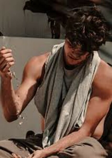 Noah Centineo photo