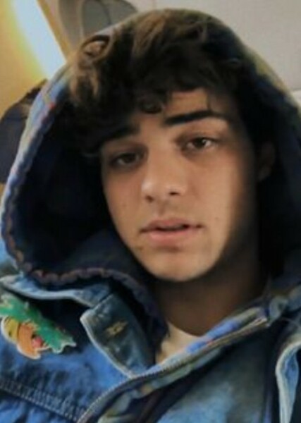Noah Centineo photo