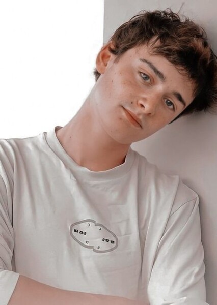 Noah Schnapp photo