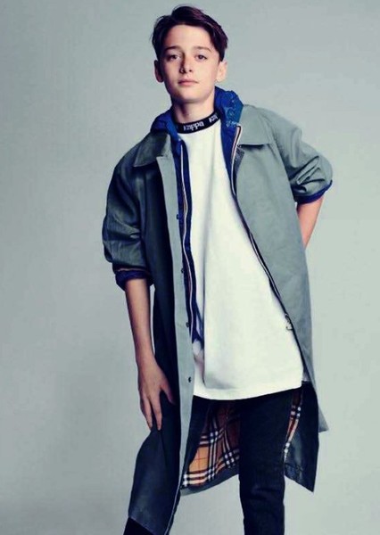 Noah Schnapp photo
