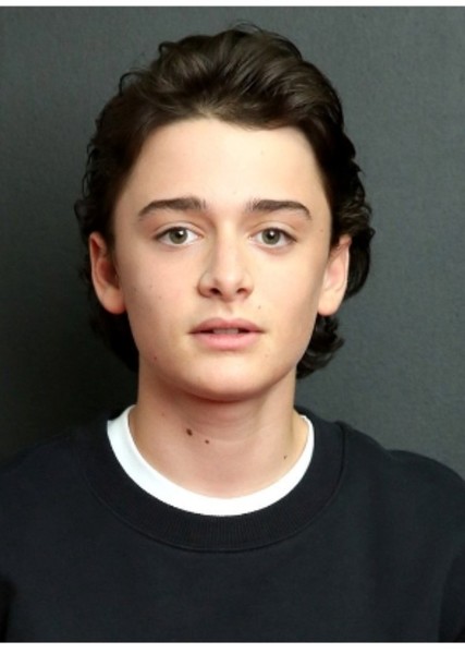 Noah Schnapp photo
