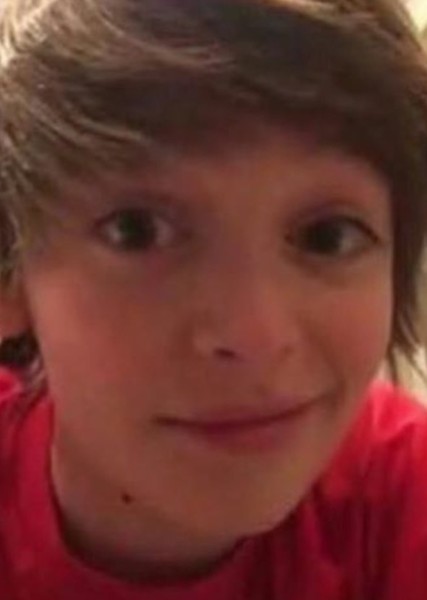 Noah Schnapp photo