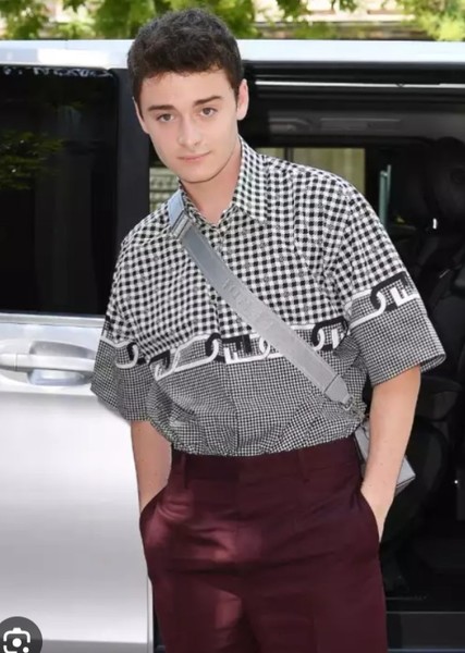 Noah Schnapp photo