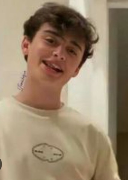 Noah Schnapp Photo on myCast - Fan Casting Your Favorite Stories
