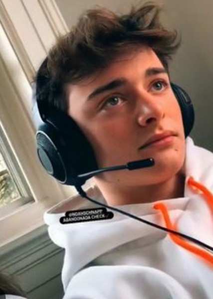 Noah Schnapp photo