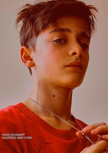 Noah Schnapp photo