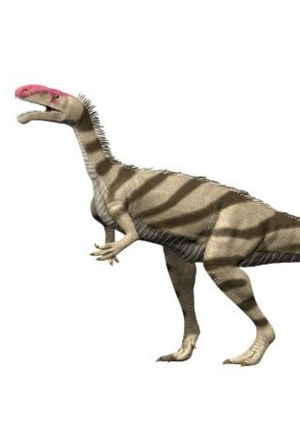 Noasaurus Iaeli