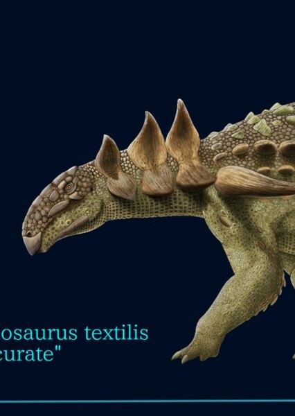 Nodosaurus photo