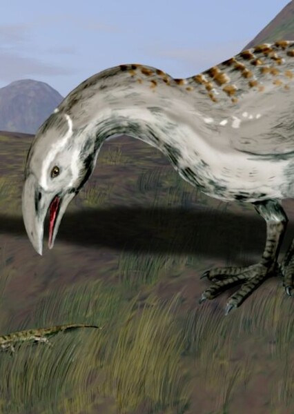 North Island Adzebill