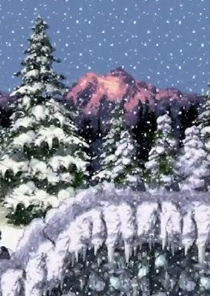 Northern Hemisphere