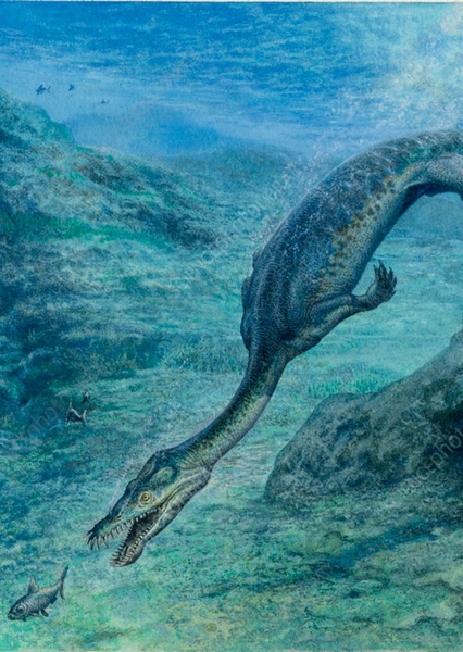 Nothosaurus photo