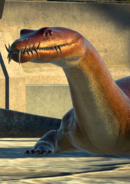 Nothosaurus photo