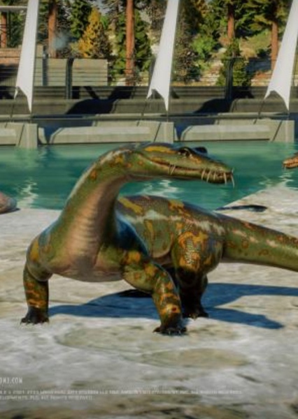 Nothosaurus photo