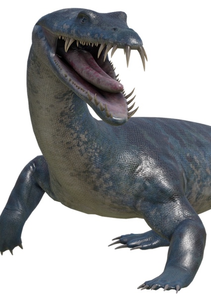 Nothosaurus
