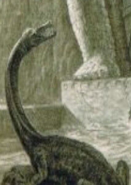 Nothosaurus photo