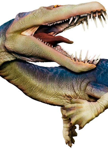 Nothosaurus photo