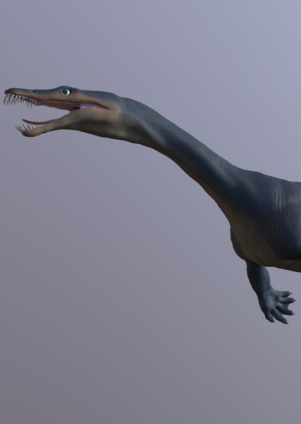 Nothosaurus photo