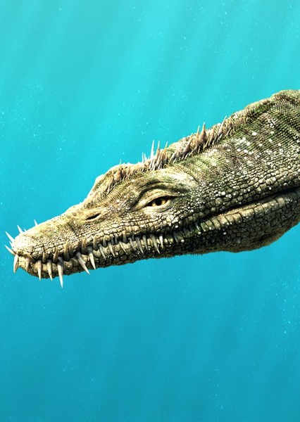 Nothosaurus photo