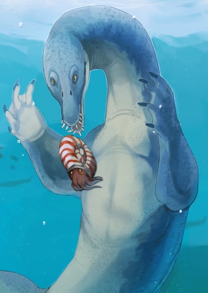 Nothosaurus photo