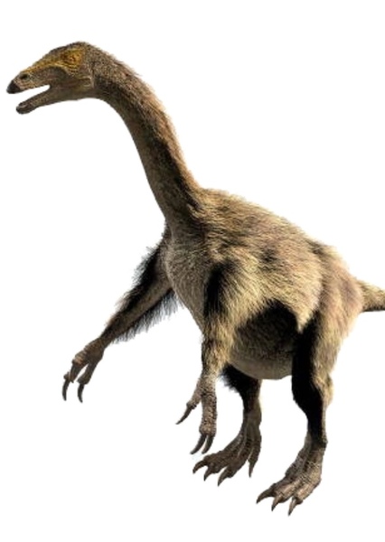 Nothronychus photo