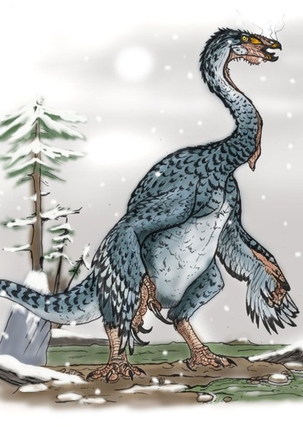 Nothronychus photo