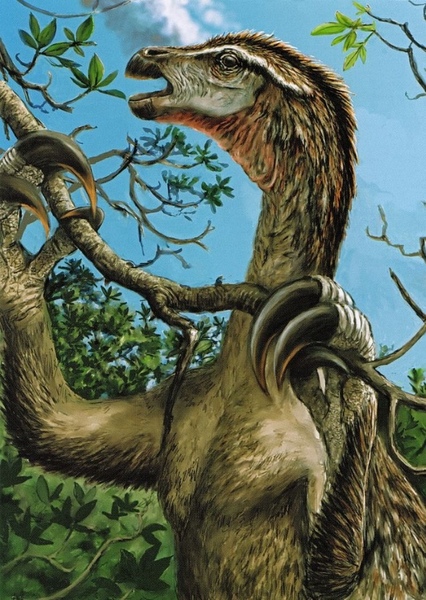 Nothronychus photo