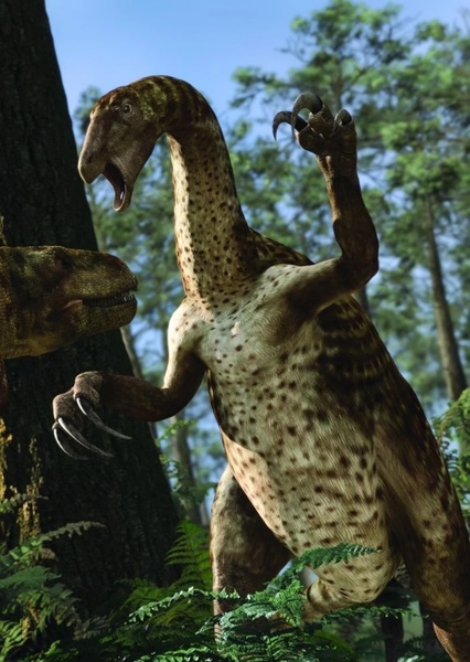 Nothronychus photo