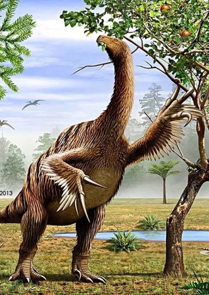 Nothronychus