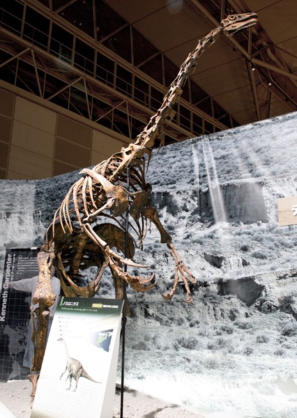 Nothronychus photo