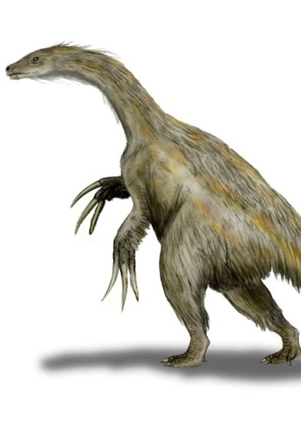 Nothronychus photo