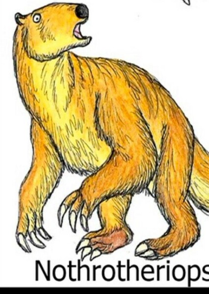 Nothrotheriops photo