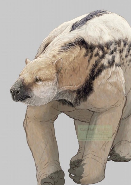 Nothrotheriops