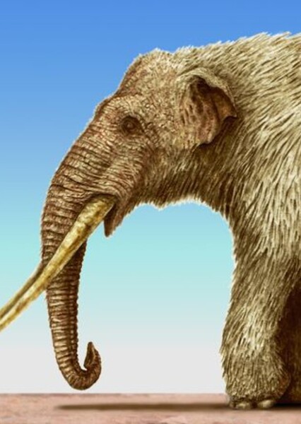 Notiomastodon