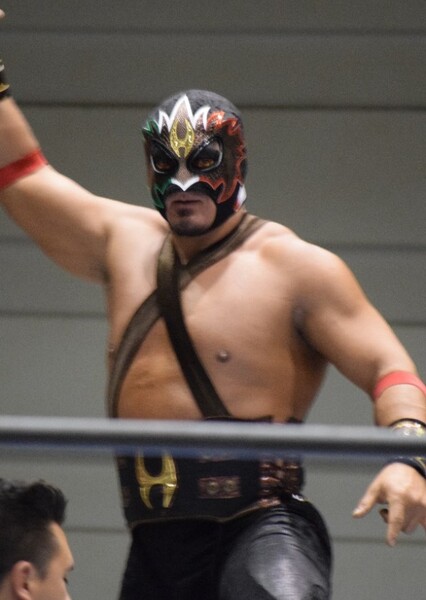 NUMBER ONE CONTENDER HECHICERO