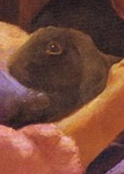 Nutmeg (American Girl) photo