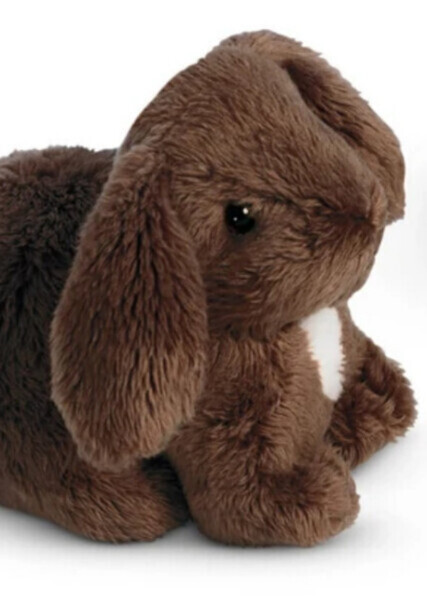 Nutmeg (American Girl)