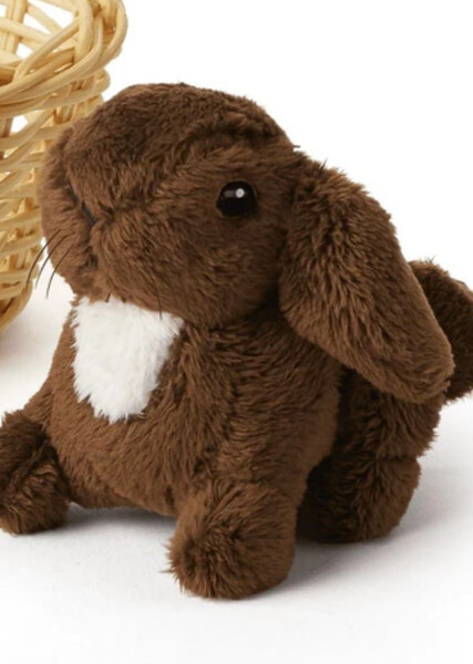 Nutmeg (American Girl) photo