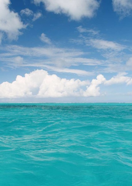 Ocean